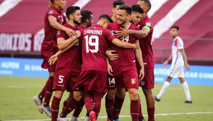 Vinotinto