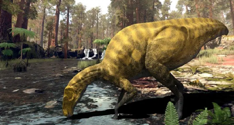 Descubren los restos de una especie desconocida de dinosaurio 1 dinosaurio