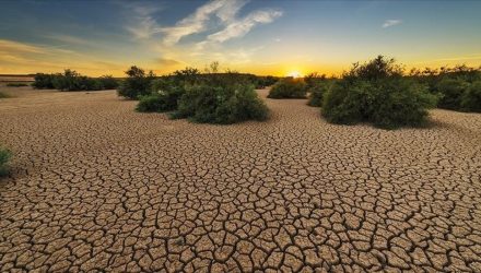 cambio climático