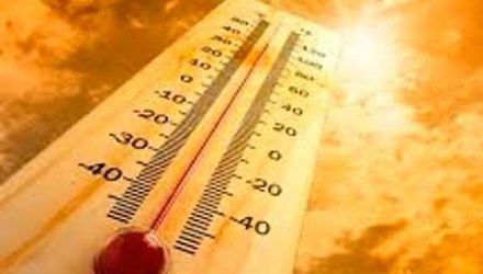 Ola de calor