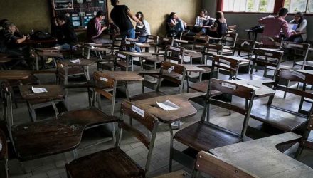 profesores universitarios