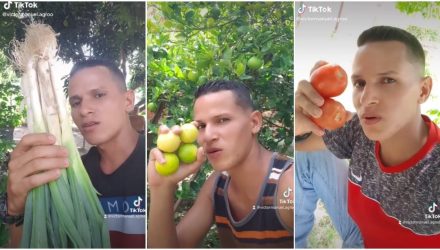 «tiktoker» venezolano