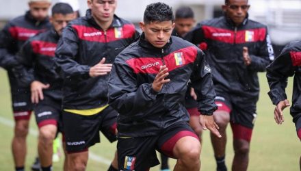 vinotinto