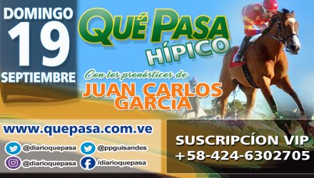 HIPICO Q PASA HOME 2