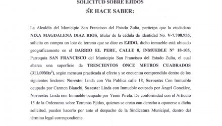 PRIMERA PUBLICACION Ejido