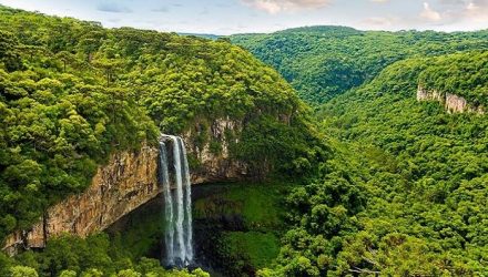 Amazonas