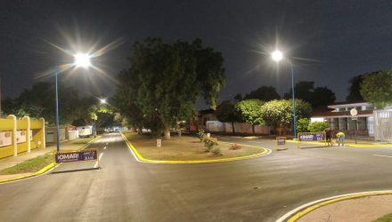 sector Los Olivos
