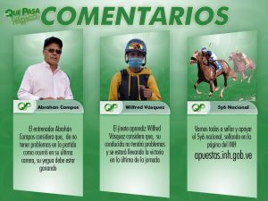 caballos