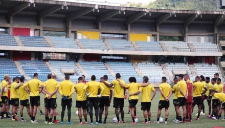 la vinotinto