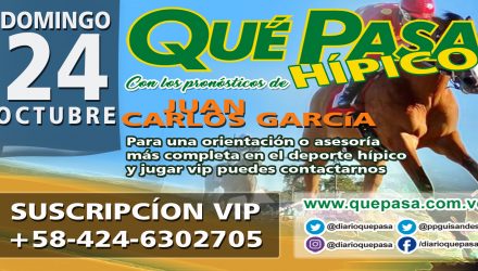 HIPICO Q PASA HOME