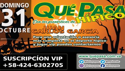 HIPICO Q PASA HOME WEB