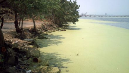Lago de Maracaibo
