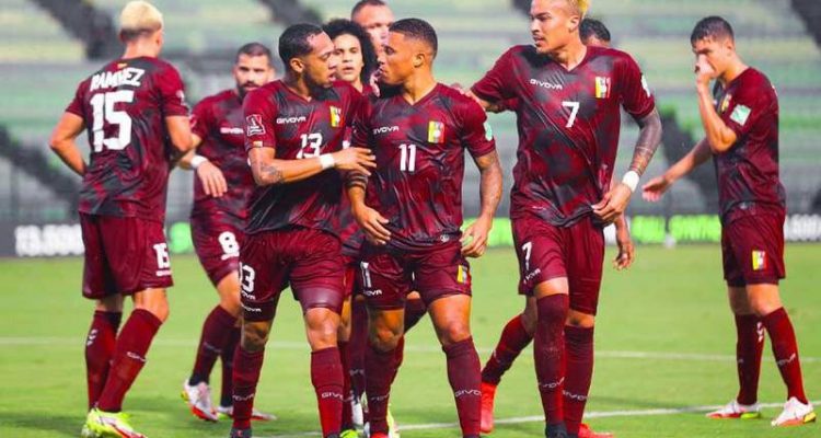 Vinotinto