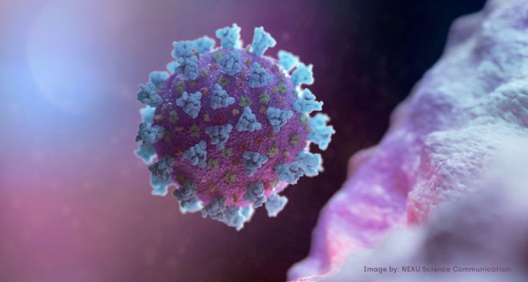 AstraZeneca: Estudio del cóctel de anticuerpos muestra un éxito en el tratamiento de COVID-19 1 AstraZeneca