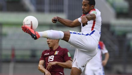 Vinotinto