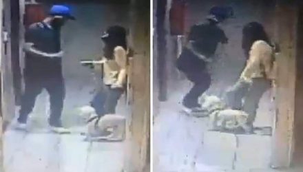 perro
