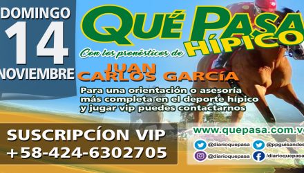 HIPICO Q PASA HOME WEB 1