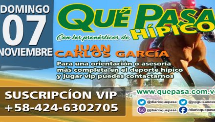 HIPICO Q PASA HOME WEB