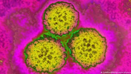 cáncer