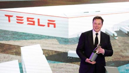 elon
