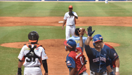 tiburones