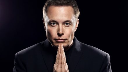 elon