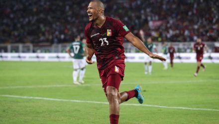 Vinotinto