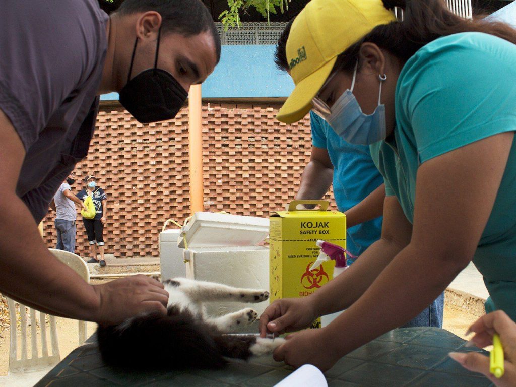 Casi 500 mascotas de la ciudad atendidas por el Instituto Municipal de Protección Animal en enero 3 Jornadas