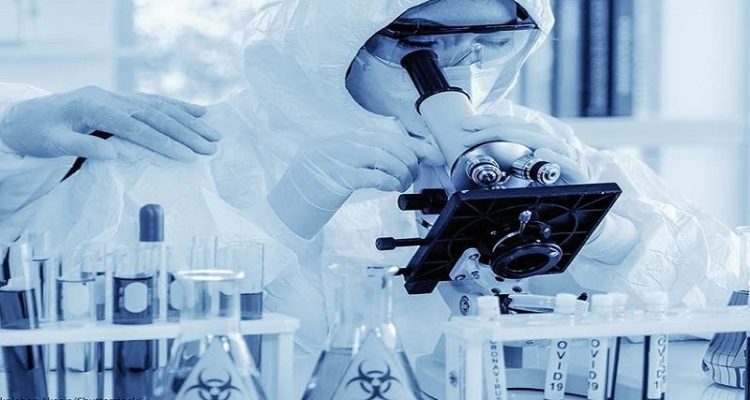 Cientificos descubrieron cómo un virus puede transformar las células inmunitarias en cancerosas 1 virus