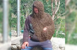 El hombre abeja: Joven en Trujillo se volvió viral por mantener su cuerpo cubierto por un enjambre de abejas 3 426765 t