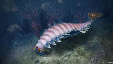 criatura marina con cinco ojos