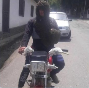 El hombre abeja: Joven en Trujillo se volvió viral por mantener su cuerpo cubierto por un enjambre de abejas 2 Captura de pantalla 2022 02 19 a las 2.13.02 p. m.
