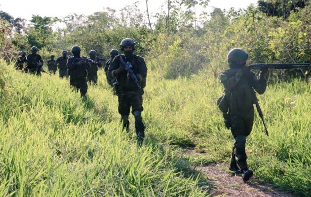 Ceofanb movilizó tres batallones a Apure para combatir grupos armados 1 apure