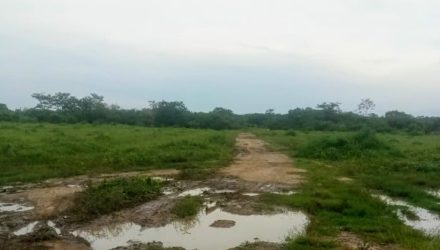 violaron a una niña