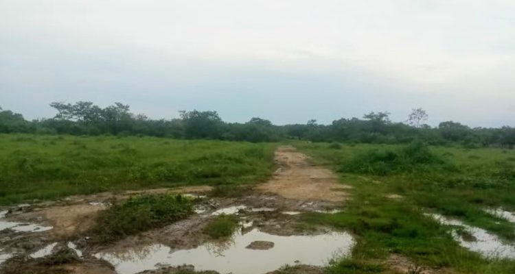 violaron a una niña
