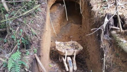 minería ilegal
