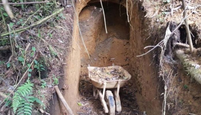 Proyecto Educación, Producción y Ambiente denuncia daño por minería ilegal en Táchira 1 minería ilegal