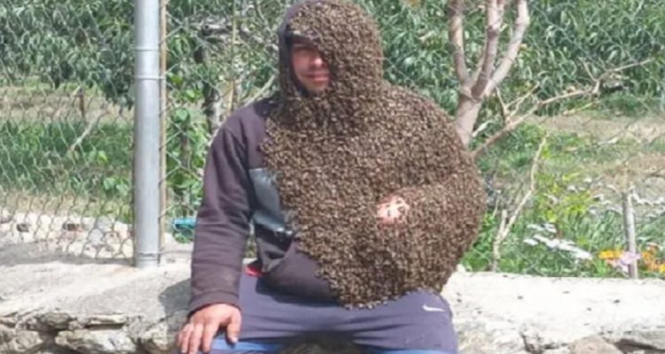 El hombre abeja: Joven en Trujillo se volvió viral por mantener su cuerpo cubierto por un enjambre de abejas 1 el hombre abeja