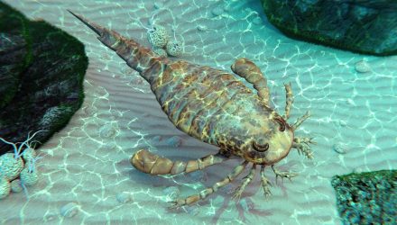 nueva especie extinta de escorpión