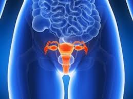 SAHUM: El inicio temprano de la sexualidad causa cáncer de cuello uterino 3 73c53973 3079 4727 af42 9b87018056fd