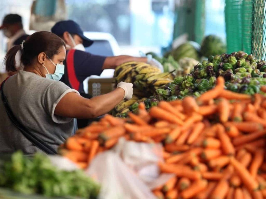 Establecieron nuevo permiso para la movilización de verduras, frutas y vegetales 2 Canasta Alimentaria en Maracaibo