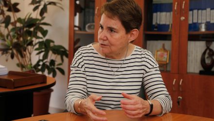 ministra de interior