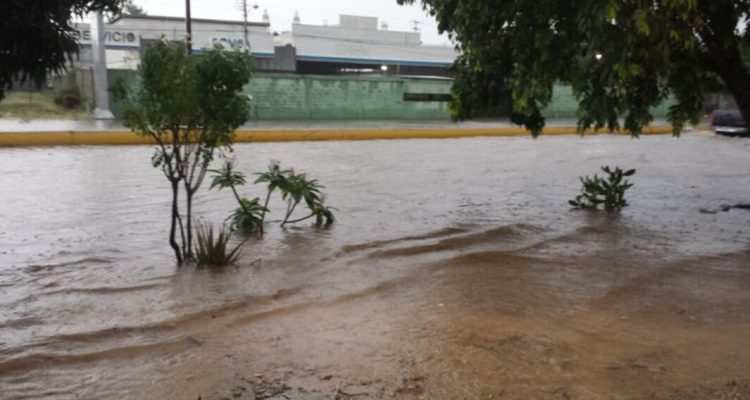 lluvias