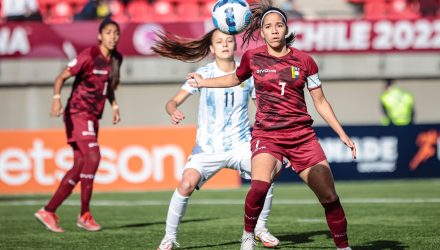 vinotinto