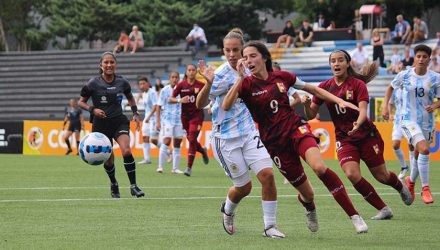 vinotinto