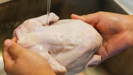 lavar el pollo