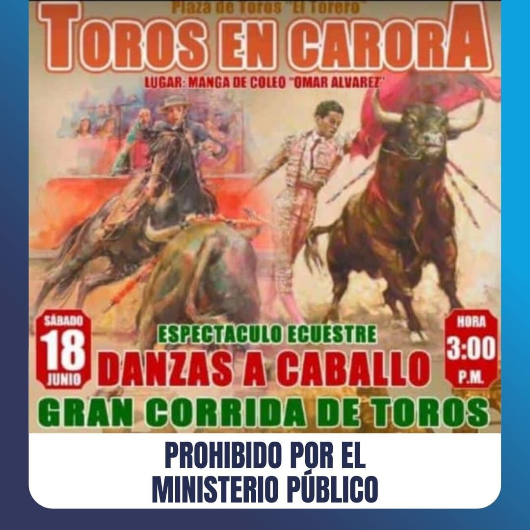 Ministerio Público prohíbe una corrida de toros en Lara 2 Corrida de toros