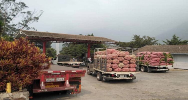 Federación Campesina aseguró que «precio justo» del diésel sería a $0,15 1 Federación Campesina