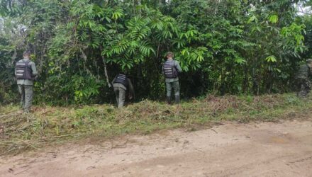 fanb desmantela depositos clandestino de combustible en eje fronterizo del zulia 104064