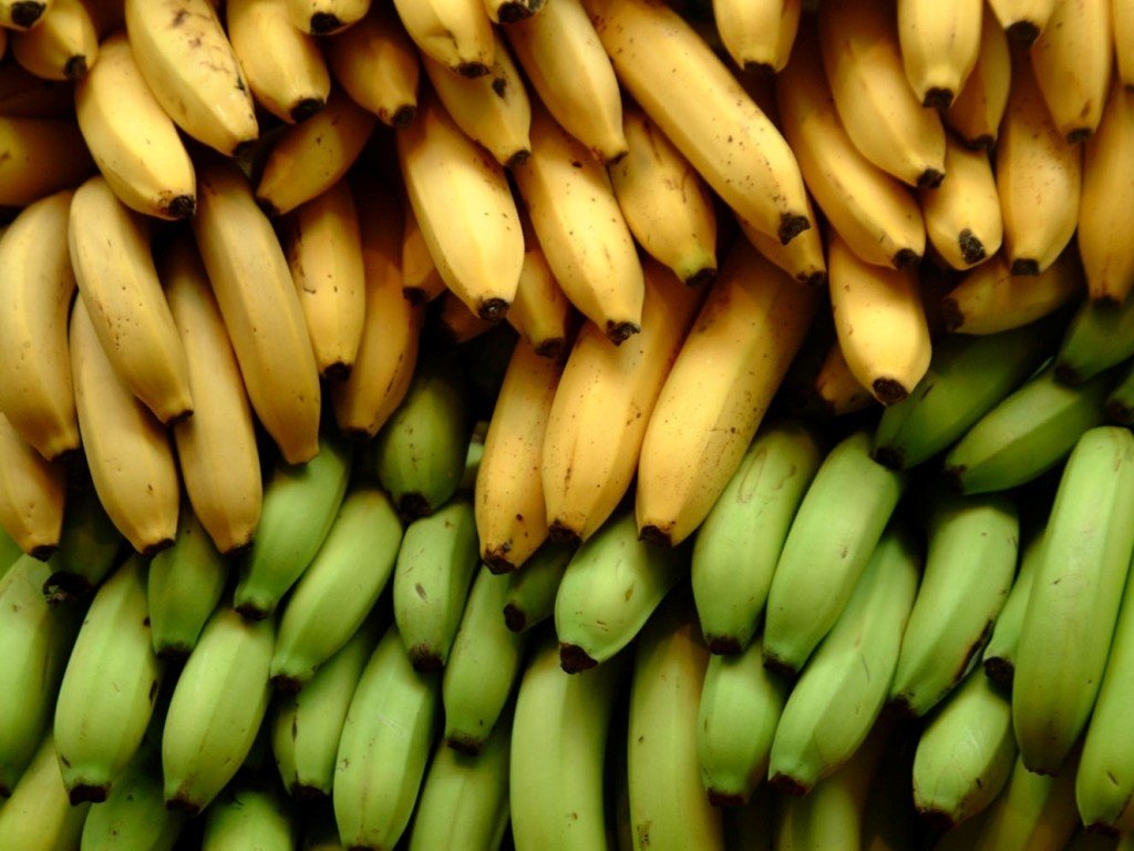 Comer una banana verde al día podría evitar el cáncer, sugiere estudio 2 0000371572